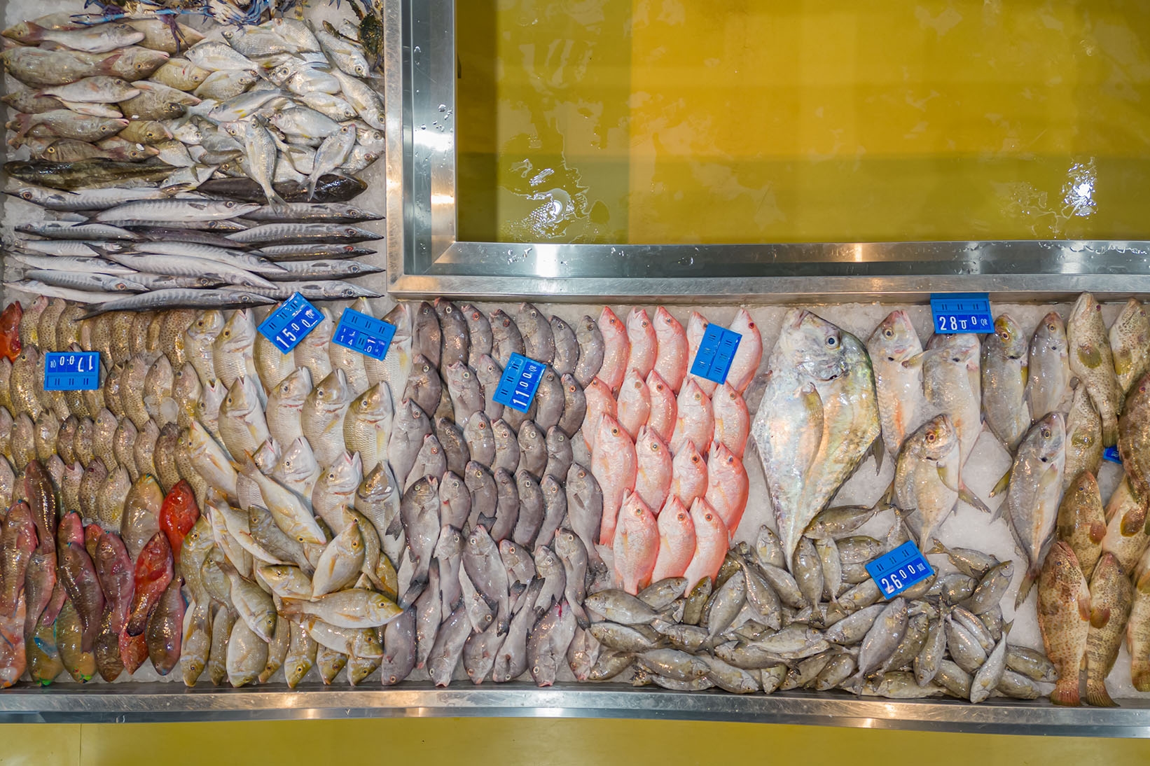 Al Khor Fish Market gallery image 10
