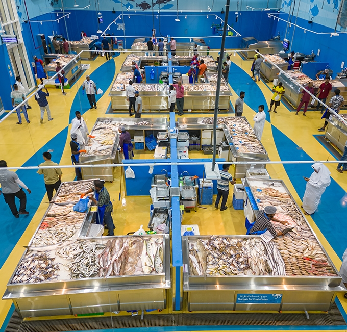 Al Khor Fish Market gallery image 1