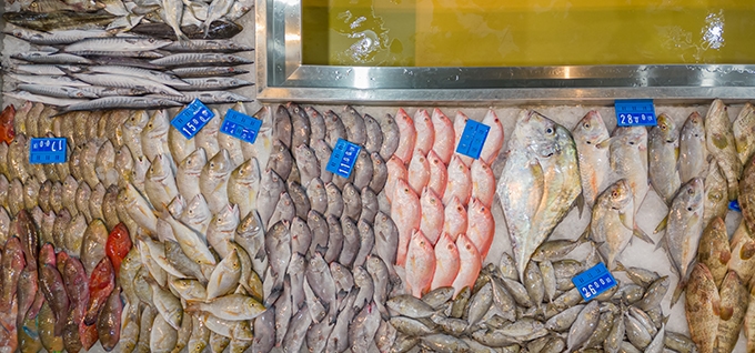 Al Khor Fish Market gallery image 2