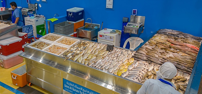 Al Ruwais Fish Market gallery image 2