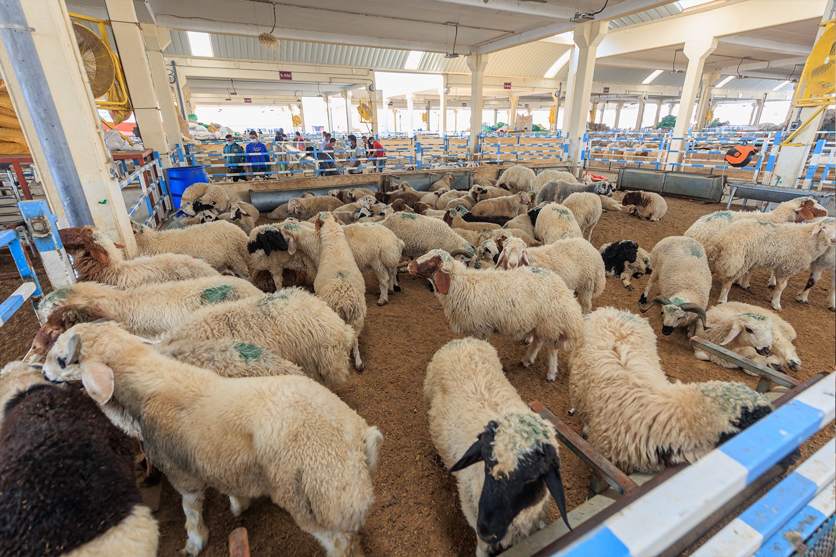 Al Wakra Central Market gallery image 11