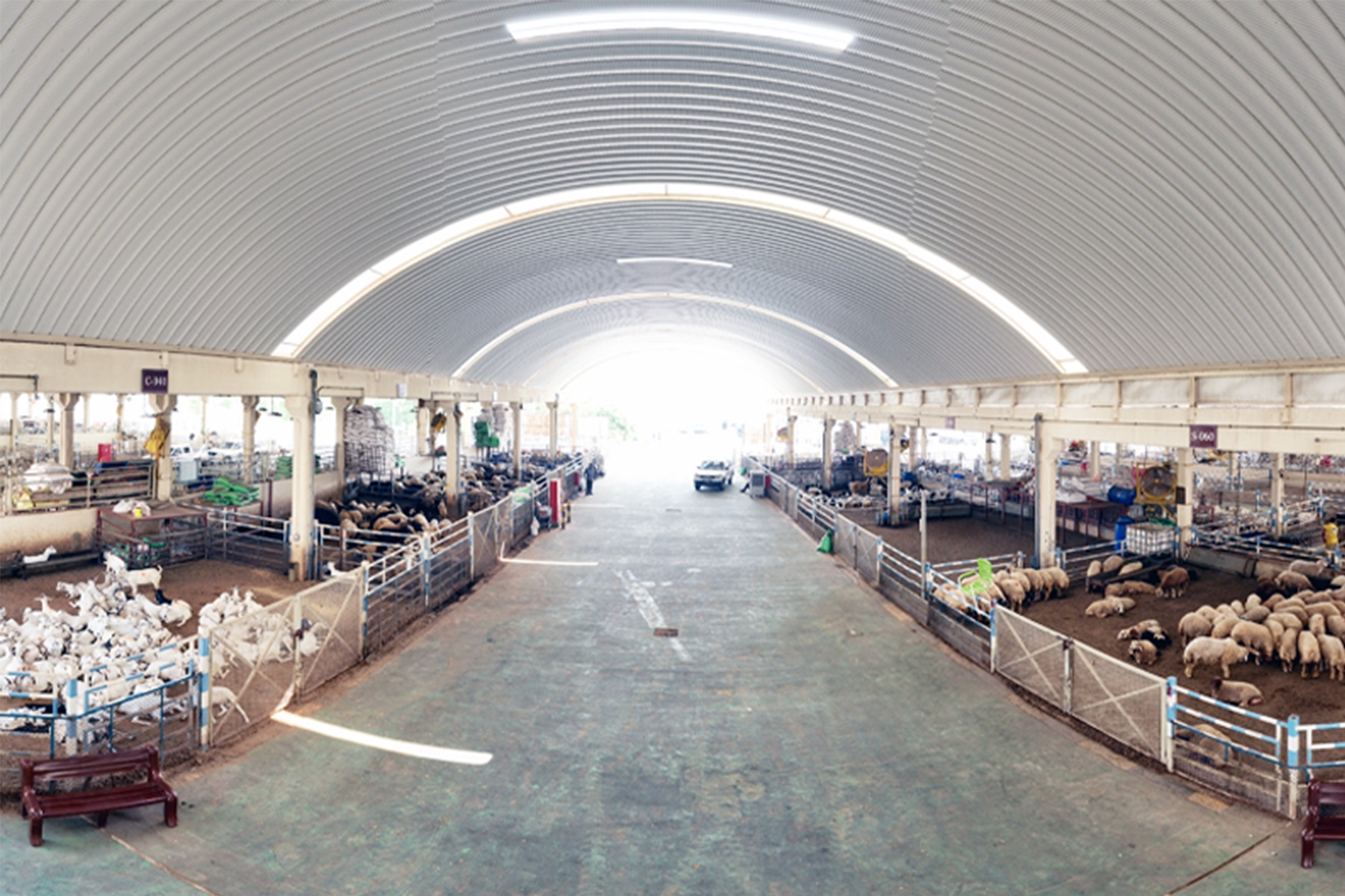 Al Wakra Central Market gallery image 6