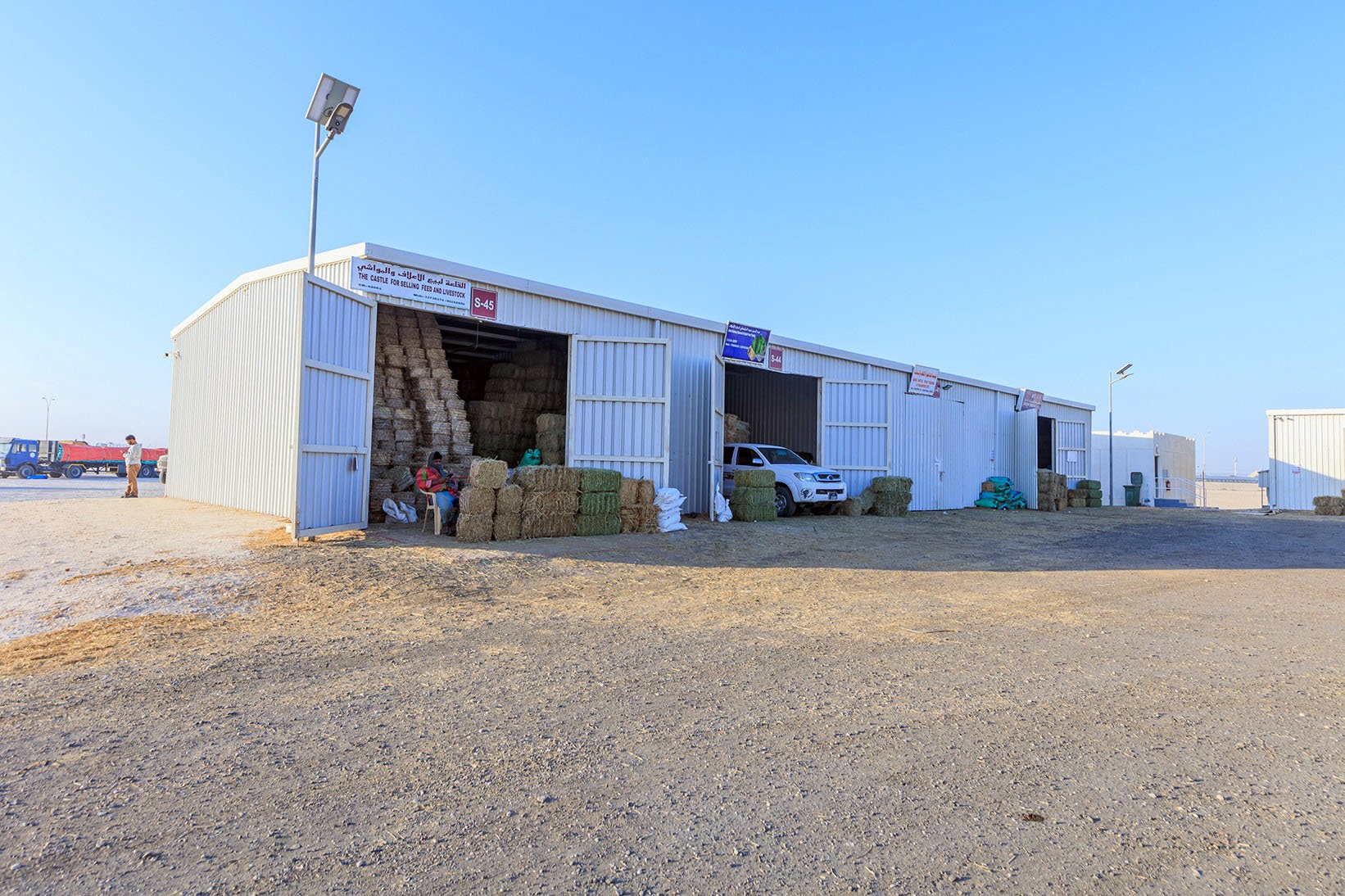 Camel Market gallery image 8