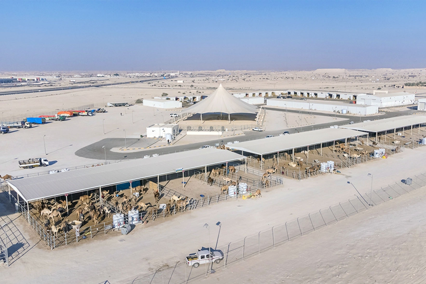 Camel Market gallery image 9