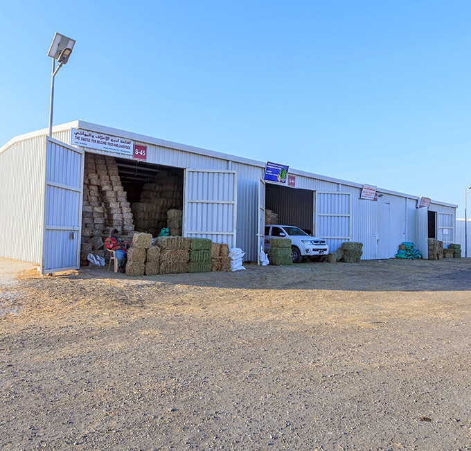 Camel Market gallery image 3