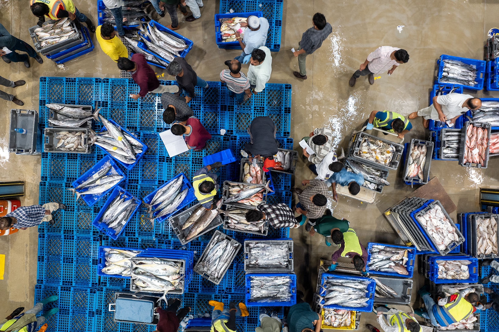 Umm Salal Central Market gallery image 6