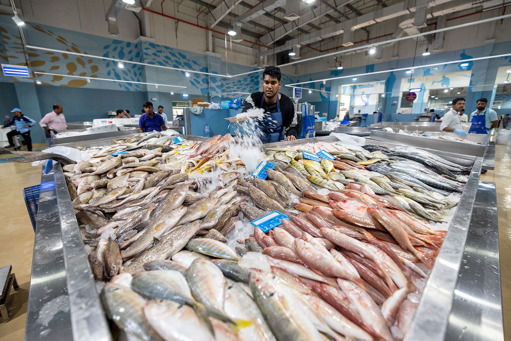 Umm Salal Central Market gallery image 7