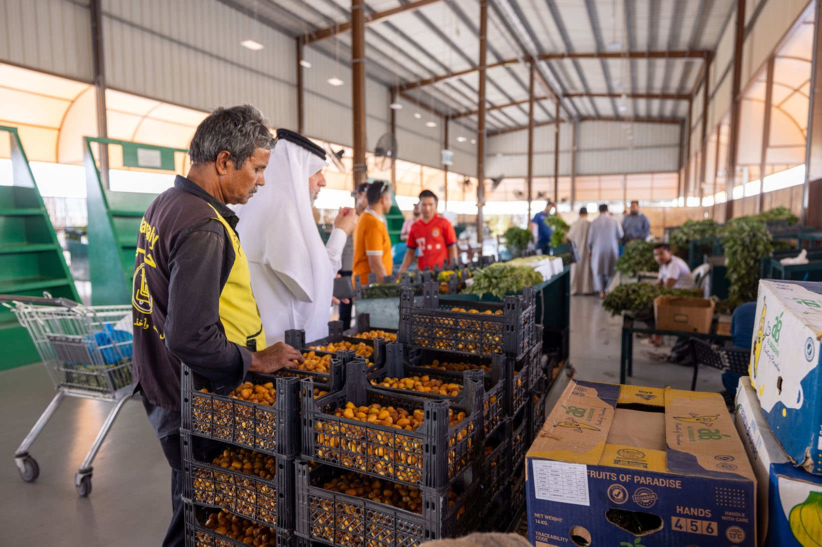 Umm Salal Central Market gallery image 9