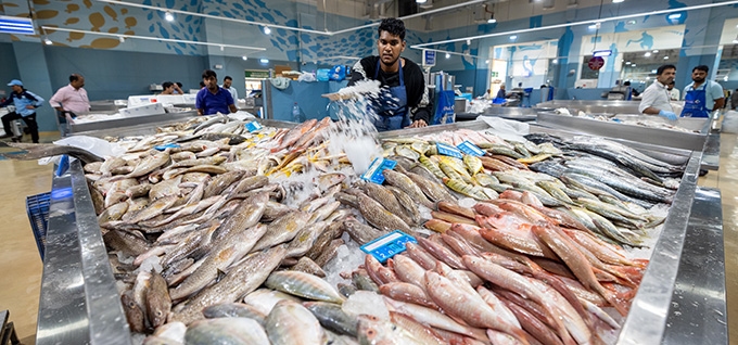 Umm Salal Central Market gallery image 3